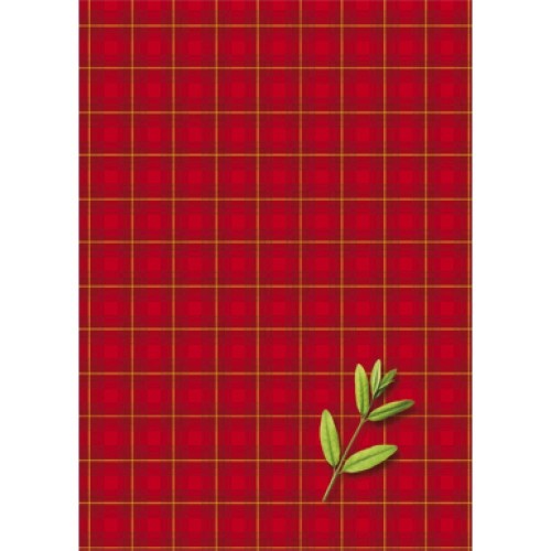 Brulion A4/300k kratka KRESKA