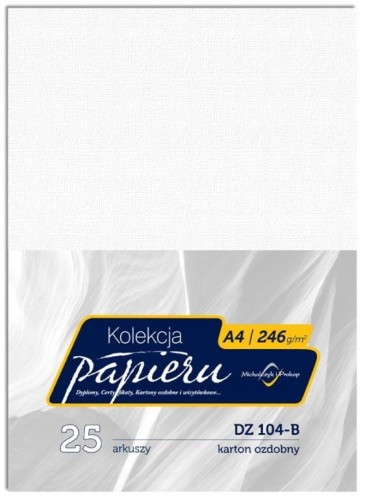 Karton wizytówkowy A4 246g DZ104-B (25) MICHALCZYK I PROKOP