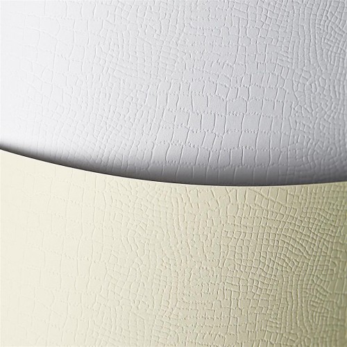 Karton wiz.A4 BORNEO biały 220g (20) ARGO 200201