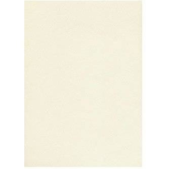 Karton wiz.A4 tłocz.ecrue W20 (20) 200g KRESKA