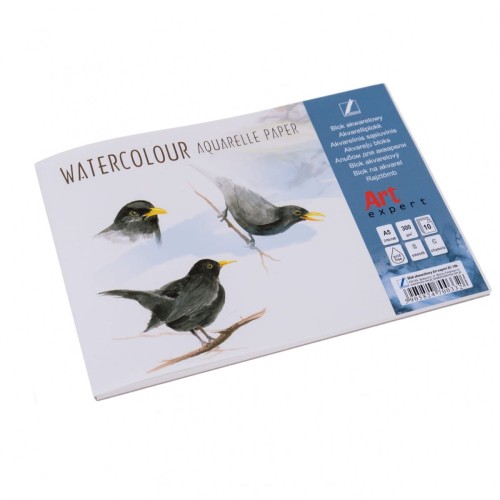 Blok akwarelowy Art Expert A5-10 300g KRESKA