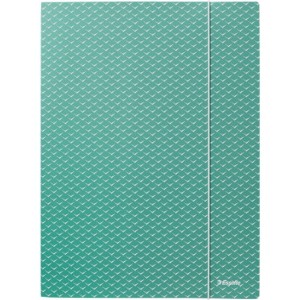 Teczka kartonowa z gumką Colour`Breeze A4 zielona 628493 ESSELTE