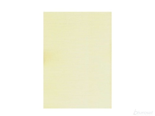 Karton wizytówkowy 246g (20 arkuszy) W41 kratka ecrue KRESKA