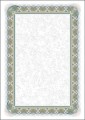Dyplom Srebro 170g A4 25 arkuszy 210117 GALERIA PAPIERU