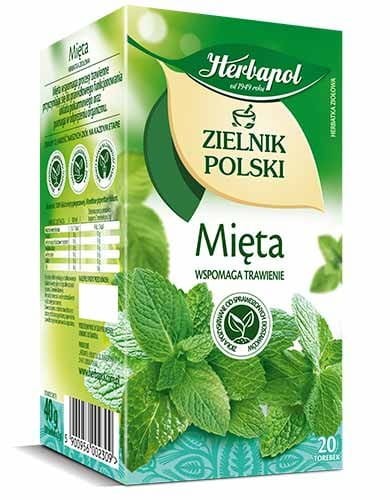Herbata HERBAPOL ZIELNIK POLSKI mięta (20 torebek)