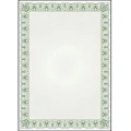 Dyplom A4 CYPRYS 170g (25ark.) 211017 Galeria Papieru