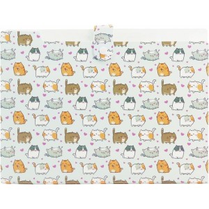 Teczka harmonijkowa A4 PP 5 przegródek z nadrukiem KITTENS THN-A4-35 BIURFOL