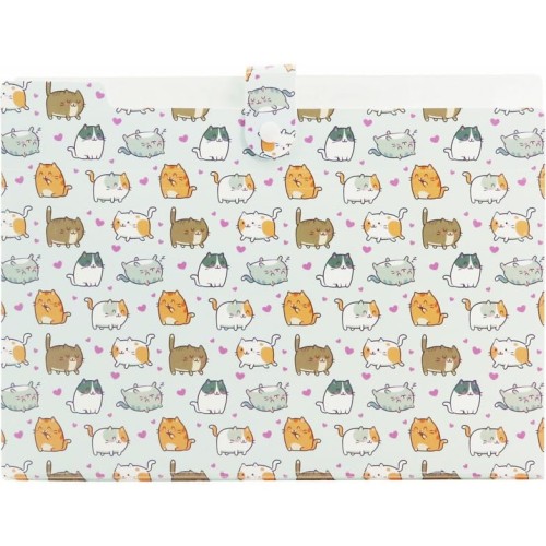 Teczka harmonijkowa A4 PP 5 przegródek z nadrukiem KITTENS THN-A4-35 BIURFOL
