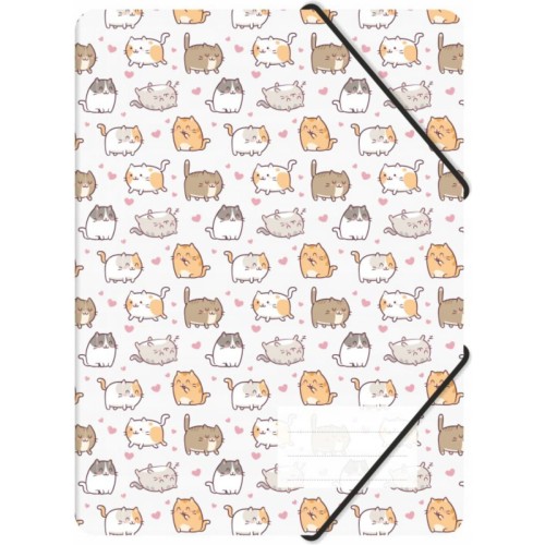 Teczka z gumką A4 PP z nadrukiem KITTENS TGN-A4-35 BIURFOL