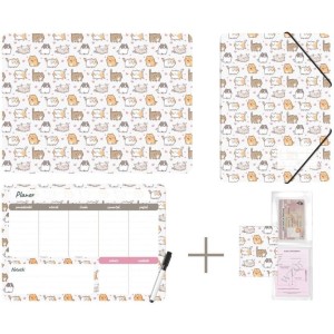 Zestaw szkolny z nadrukiem KITTENS KPL-NADRUK-01-35 BIURFOL