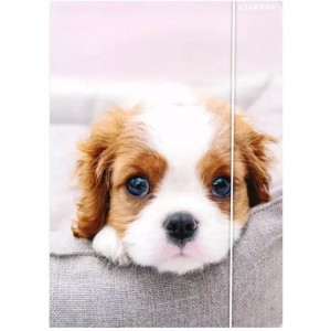 Teczka z gumką A4 PIESKI 559719 STARPAK