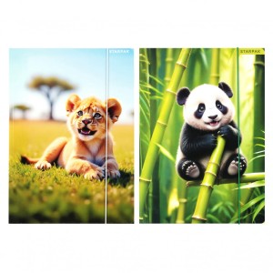 Teczka z gumką A4 WILD ANIMAL 559729 STARPAK