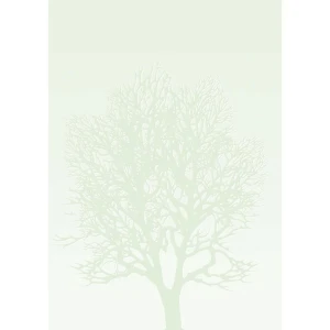 Arkusze barwne A4 DRZEWO 100g. (50ark. ) 230410 Galeria Papieru