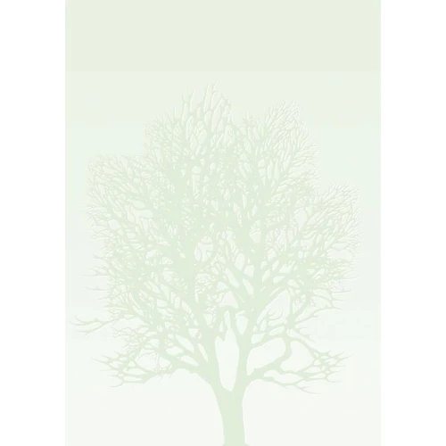 Arkusze barwne A4 DRZEWO 100g. (50ark. ) 230410 Galeria Papieru