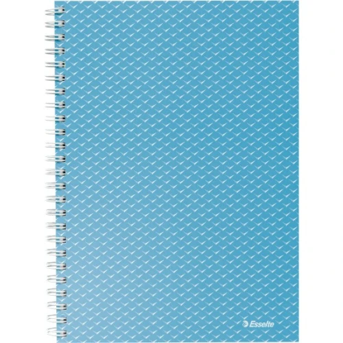Kołonotatnik Colour`Breeze A5 w kratkę niebieski 628466 ESSELTE
