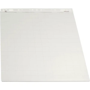 Blok do flipcharta 55x71cm 50 kartek w kratkę 96550 ESSELTE