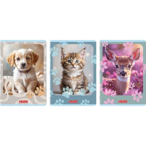Zeszyt A4 32k 70g linia podwójna kolorowa ANIMALS 400206431 HERLITZ
