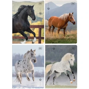 Zeszyt A5 32k 3-linia kol. 70g UV Wild Horses INTERDRUK