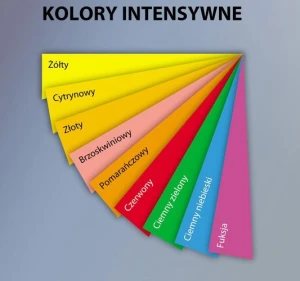 Papier ksero A4 160g TROPHEE 250ark intensywny różowy 1017